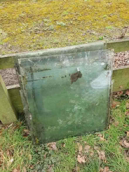 Photo of free Greenhouse glass (Kirkby Overblow HG3) #1