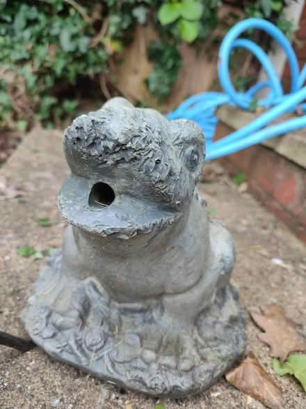 Photo of free Frog garden ornament/water feature (WD23 Bushey) #1