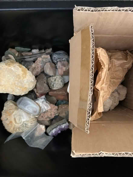 Photo of free Small Box of Geodes, fossils + (Teignmouth) #1