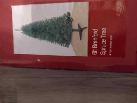 Photo of free Christmas Tree (Upton) #1