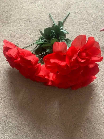 Photo of free 2 bunches artificial roses (Stranmillis, Belfast, BT9) #1