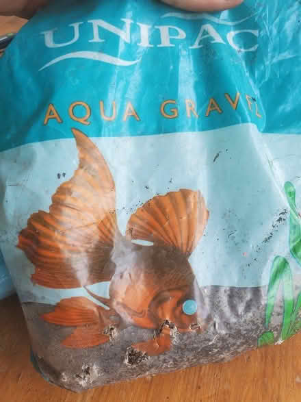 Photo of free Aquarium substrate (Totterdown, Bristol) #2