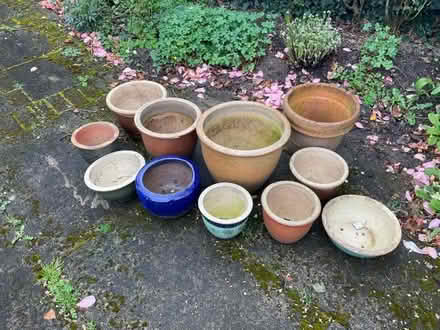 Photo of free Plant pots. (Bishop's Castle SY9) #1