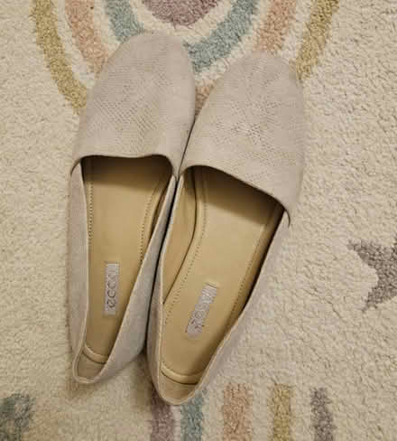 Photo of free Women's Ecco shoes size 40 (NW4) #1