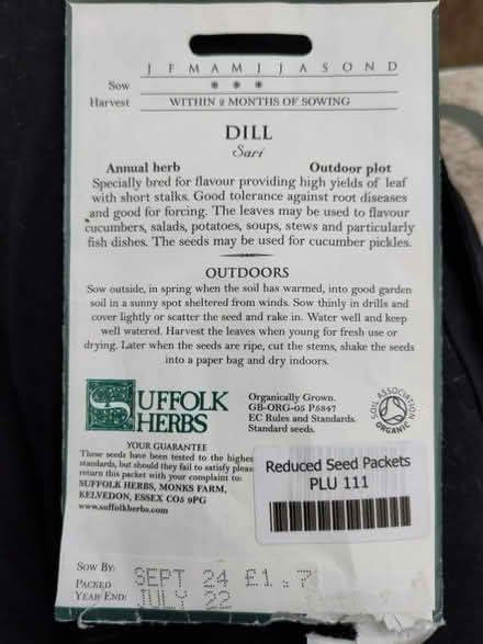 Photo of free Dill seeds (Tattenhoe MK4) #2