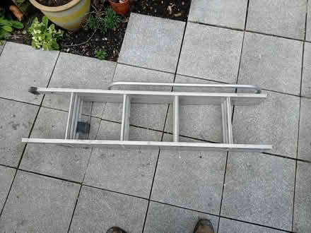 Photo of free Loft ladder (BH2) #1