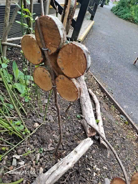 Photo of Circular slices of wood (Bedford, MK40) #2