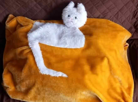 Photo of free beanbag cat bed (Victoria Park HP20) #1