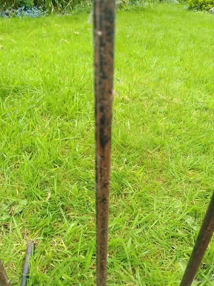 Photo of free Welly stand (billericay CM12) #2