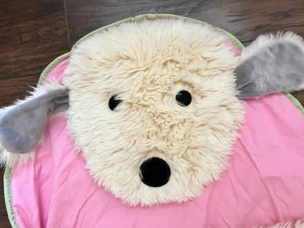 Photo of free sleeping bag (oxford AL) #2