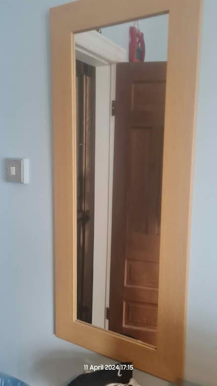 Photo of free Mirror (Garth LL57) #1