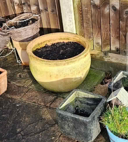 Photo of free Large round plant pot (St Nicholas SG1) #1