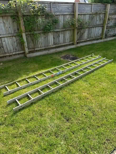 Photo of free Extendable ladders (GL52) #2