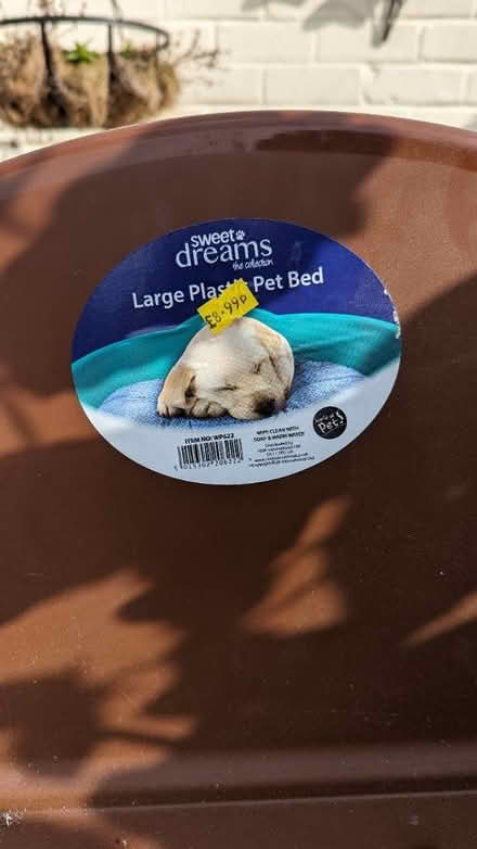 Photo of free Dog bed (Brimington S43) #2