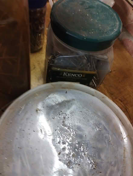 Photo of free Nails. A LOT of nails (Cowplain) #4