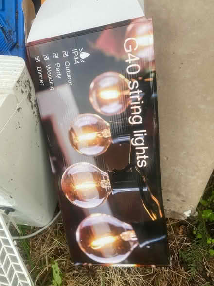 Photo of free Few small bulbs for garden lights (Reading RG2) #1