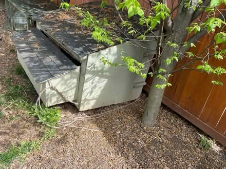 Photo of free Chicken Coop (Friendship Heights, D.C.) #2