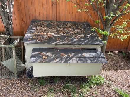 Photo of free Chicken Coop (Friendship Heights, D.C.) #1