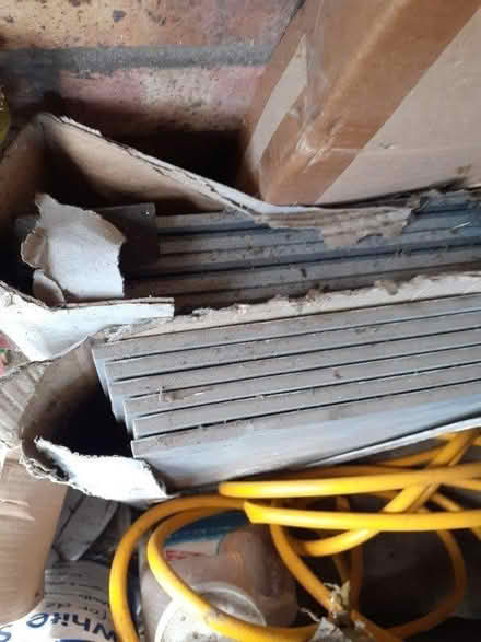 Photo of free Floor tiles (South Green CM11) #2