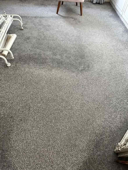 Photo of free Grey carpet 153x123inch (Woodham Walter CM9) #1