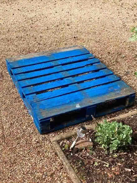 Photo of free Blue pallet (Sheddingdean RH15) #1