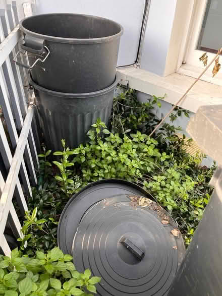 Photo of free 2 x big black bins (W12) #1