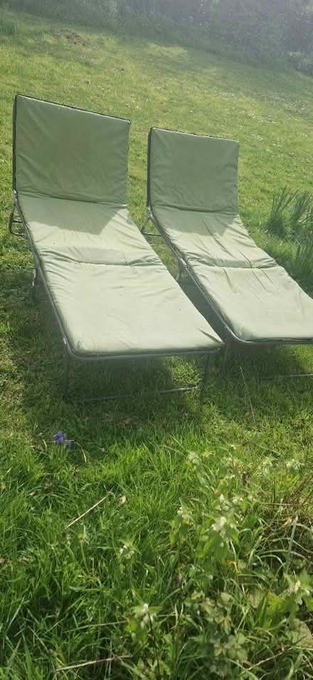 Photo of free Green fabric sunloungers (Wymondham) #1