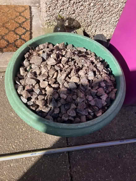 Photo of free Chuckies (Elgin IV30) #2