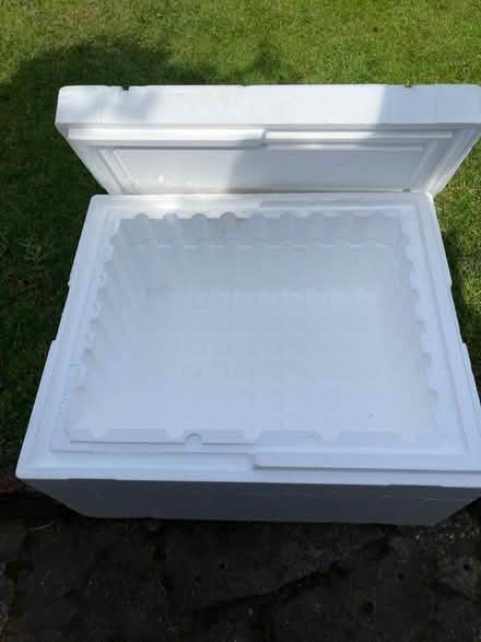 Photo of free Polystyrene cold box (Hatfield) #1