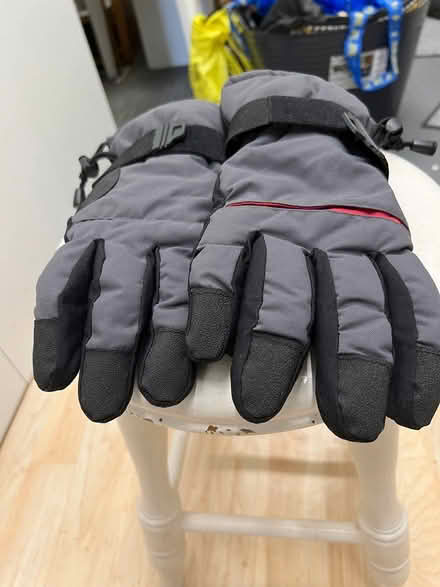 Photo of free Thermal Cycling Gloves (Cheltenham GL53) #1