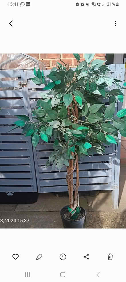 Photo of free Large Faux Plant (St. Albans) #1