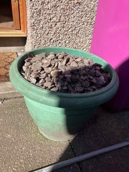 Photo of free Chuckies (Elgin IV30) #1