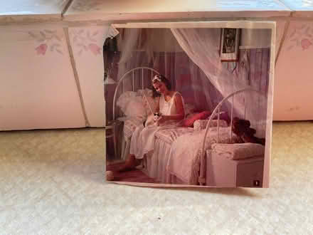 Photo of free Bed canopy (Bodicote OX15) #1