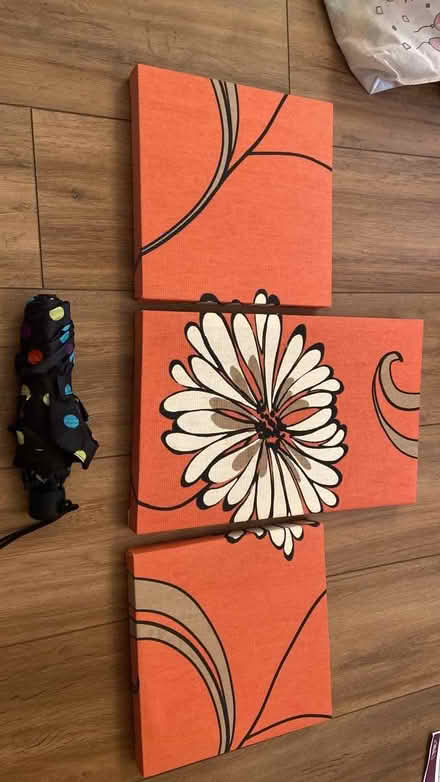 Photo of free A set of 3 pictures (Barkham RG41) #1