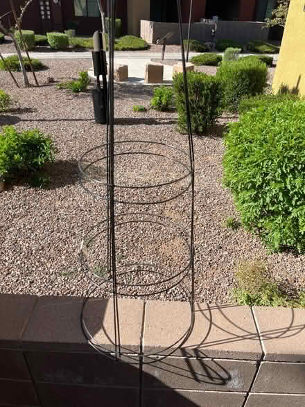 Photo of free Two 42 inch tomato cages (Gilbert) #1