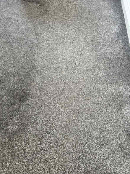 Photo of free Grey carpet 153x123inch (Woodham Walter CM9) #2