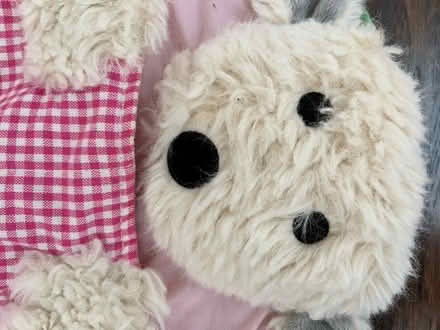 Photo of free sleeping bag (oxford AL) #4