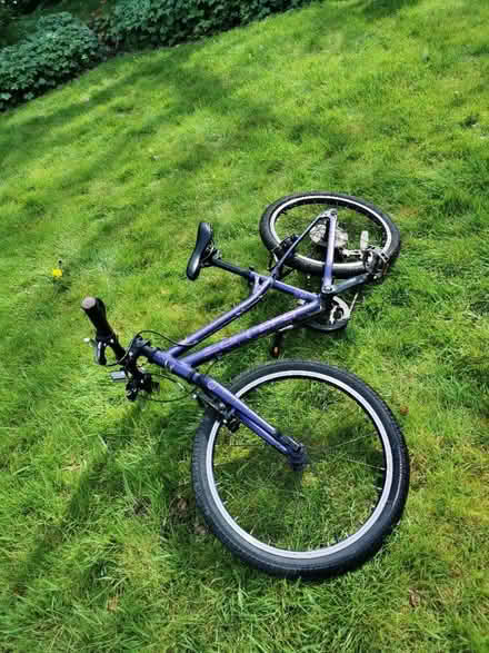 Photo of free Kids bike purple mid size (Horley, RH6) #3