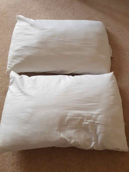Photo of free 2 brand new pillows and 2 as new (Townsend AL3) #2