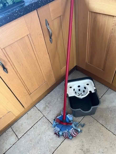 Photo of free Bucket and mop (Henley-on-Thames RG9) #1