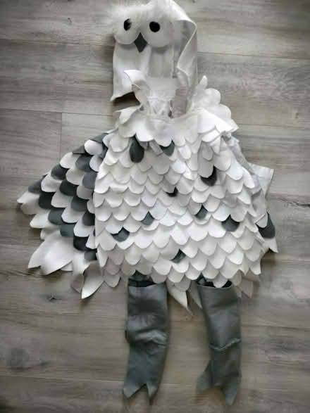Photo of free Hand made owl costume 6-7 years (Cranfield MK43) #1