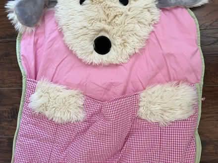 Photo of free sleeping bag (oxford AL) #3