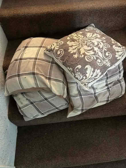 Photo of free Small cushions (Kirkoswald CA10) #1