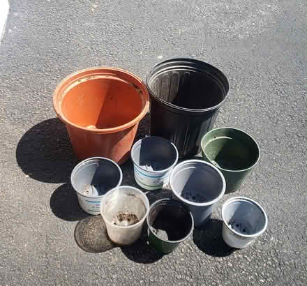 Photo of free Plant starter pots (Near Meacham & Schaumburg rds) #1