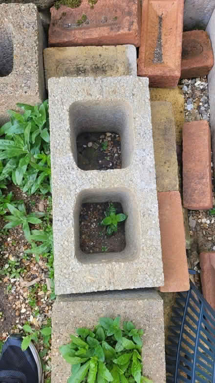 Photo of free Standard hollow blocks (Kingsmoor CM19) #1
