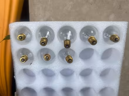 Photo of free Few small bulbs for garden lights (Reading RG2) #2