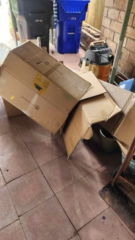 Photo of free Cardboard for garden projects etc (Allied Gardens) #1