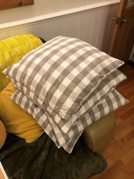 Photo of free 6x Ikea cushions (Stenalees PL26) #1
