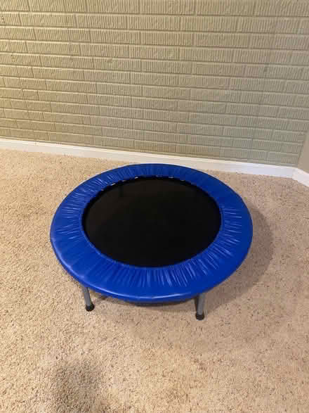 Photo of free Mini Trampoline (Dunlora) #1