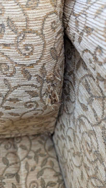 Photo of free Upholstery project (Brimington S43) #4